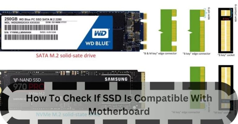 How To Check If SSD Is Compatible With Motherboard